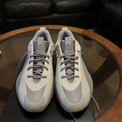 Adidas AE 1 Low Metallic Grey