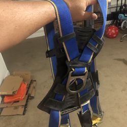 Harnes Harness Safety 