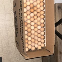 Fresh Organic Chicken Eggs 4 Sale