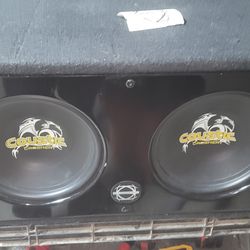 10" Coustic Crusher subwoofers and box