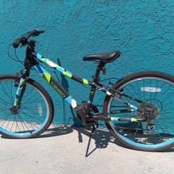 teenage bicycle