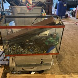 30 Gallon Fish Tank With Rocks , Light And Ship And Filter