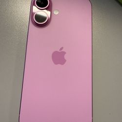 Pink iPhone 16