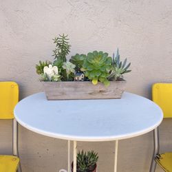 Mixed Succulents In a Wooden Pot 