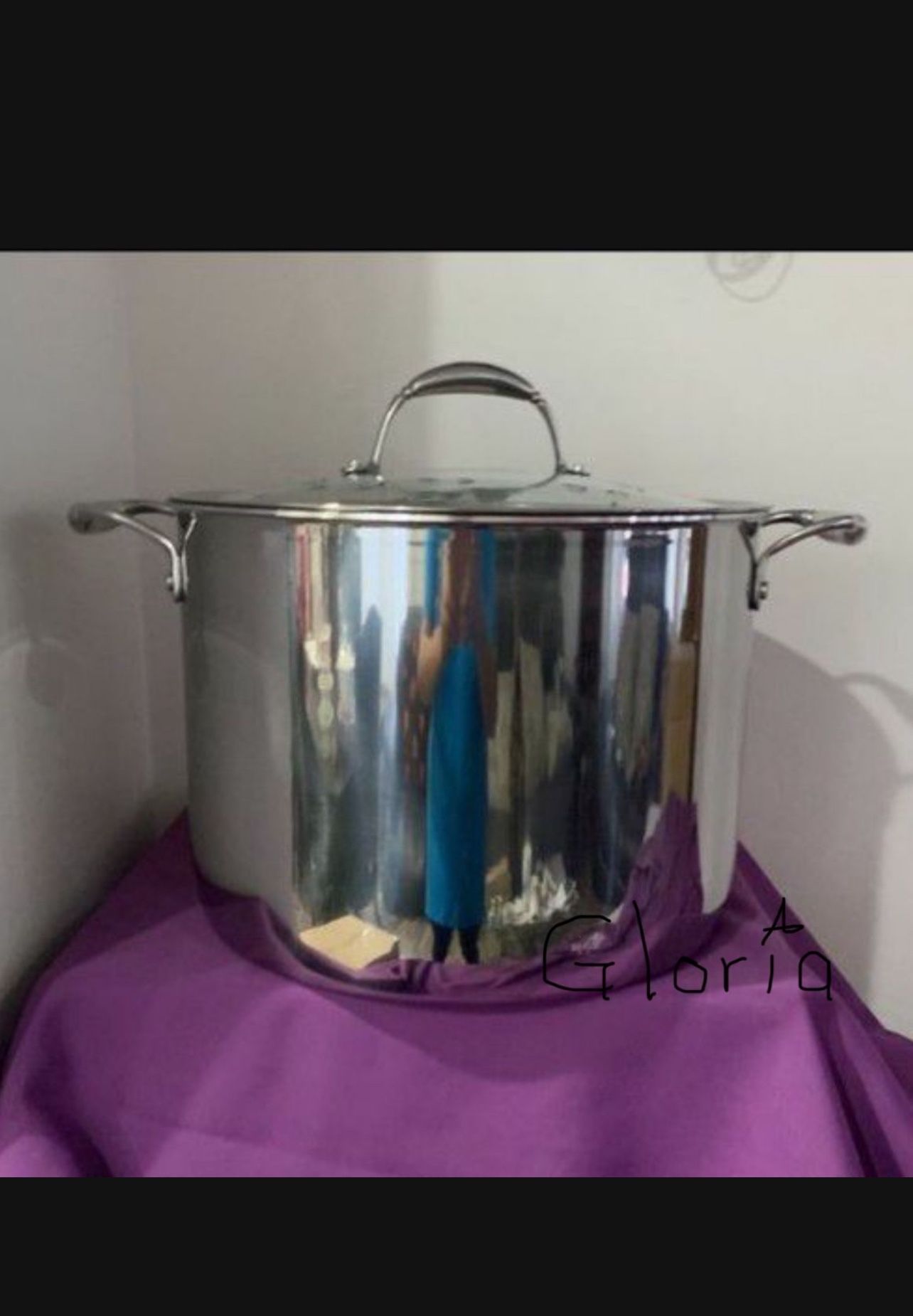 Olla De 20 Qt Tri-ply Princess House