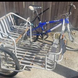 Bicycle side car