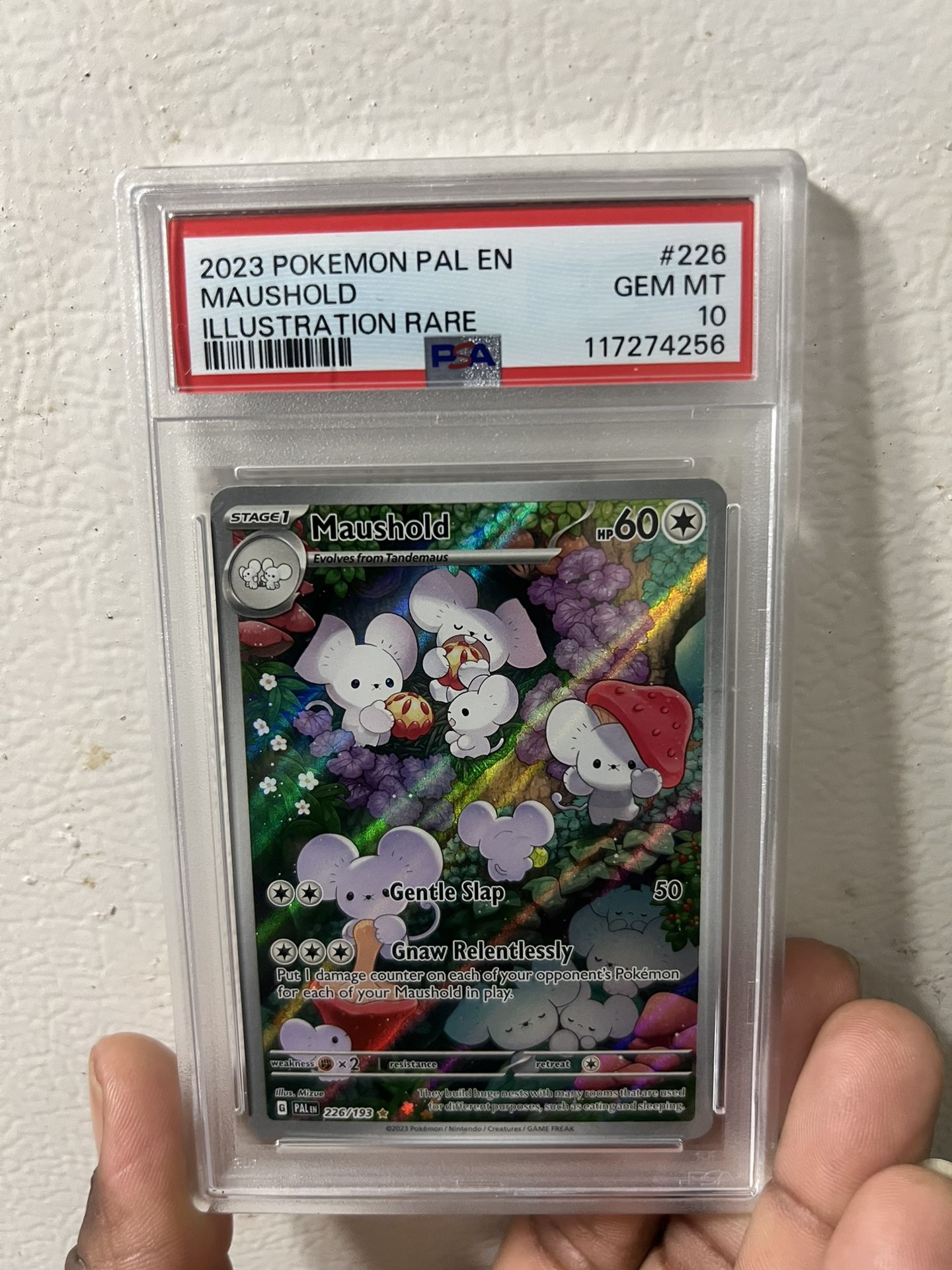 Maushold - 226/193 - SV02: Paldea Evolved (PAL)
