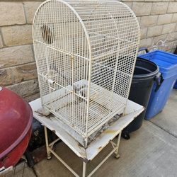 Bird Cage and 4 Parakeets 
