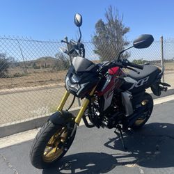 New 2024 KP Mini Lifan 5 Speed 2 Year Warranty Motorcycle At Turbopowersports Com 