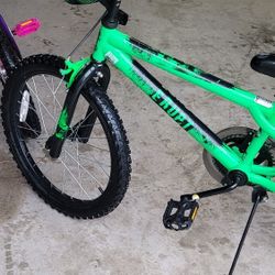 Boys New 20 " Bike