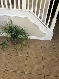 Artificial Grass Plant in Silver Pot