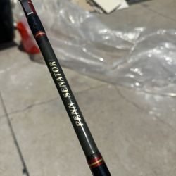 Penn Fishing Rod