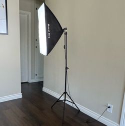 Mount Dog Studio Light