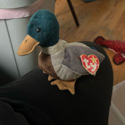 1998 beanie babie Jake 