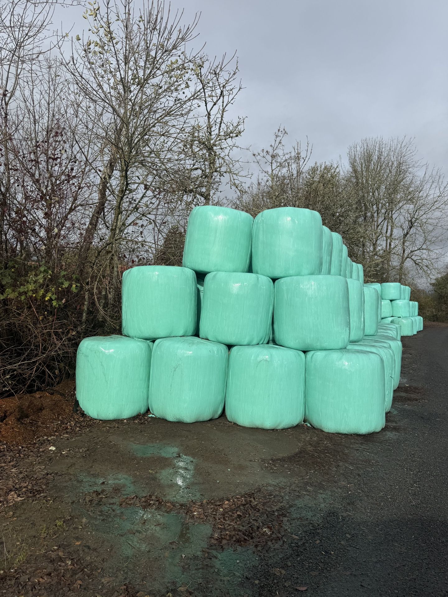 2024-Round Grass Hay Bales & Haylage