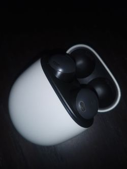Earbuds