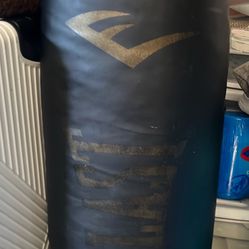 Punching Bag