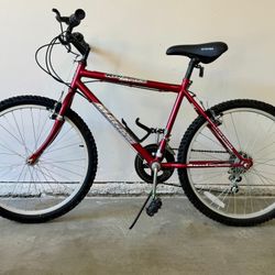 Summer Bicycle -$25