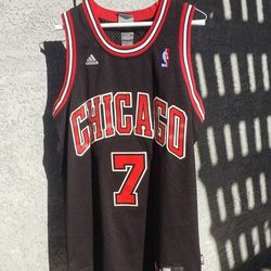 Vintage Chicago Bulls Adidas GORDON Jersey 
