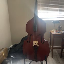 Antique Stand Up Bass - Palatino