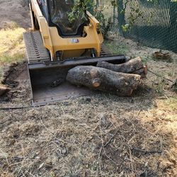 Brush Removal, Hauling 