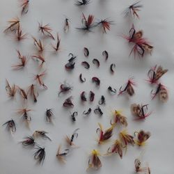 Trout Salmon Fly Fishing Flies Assortment Of 60pcs Brand New 