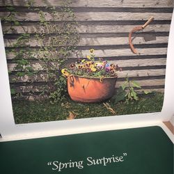 —Bob Timberlake “Spring Surprise” *