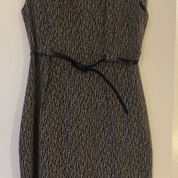 Dressbarn Dress size 14