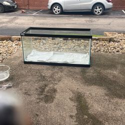 40 Gallon Fish Tank 