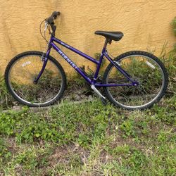 Girl’s Bike