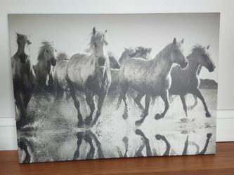 Horse Collection (Pictures, Books, other)