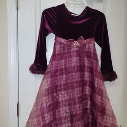 Beautiful Velvet Dress 