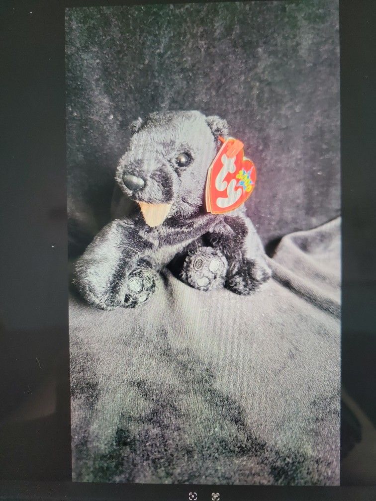 Cinder Beanie Baby 