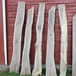 Live Edge Walnut, $75/board