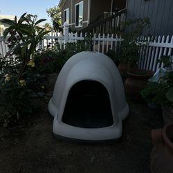 Dog House