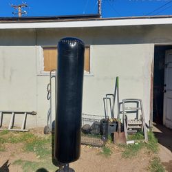 Standing Punching Bag And Gloves