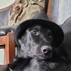 Sam