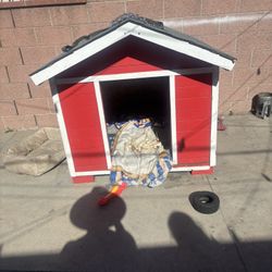 Dog House 