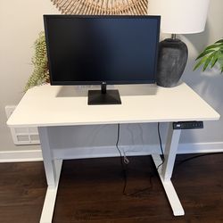 Electric Adjustable Standing Desk
