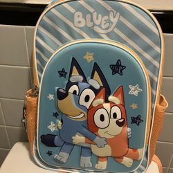 Bluey Backpack Light Up