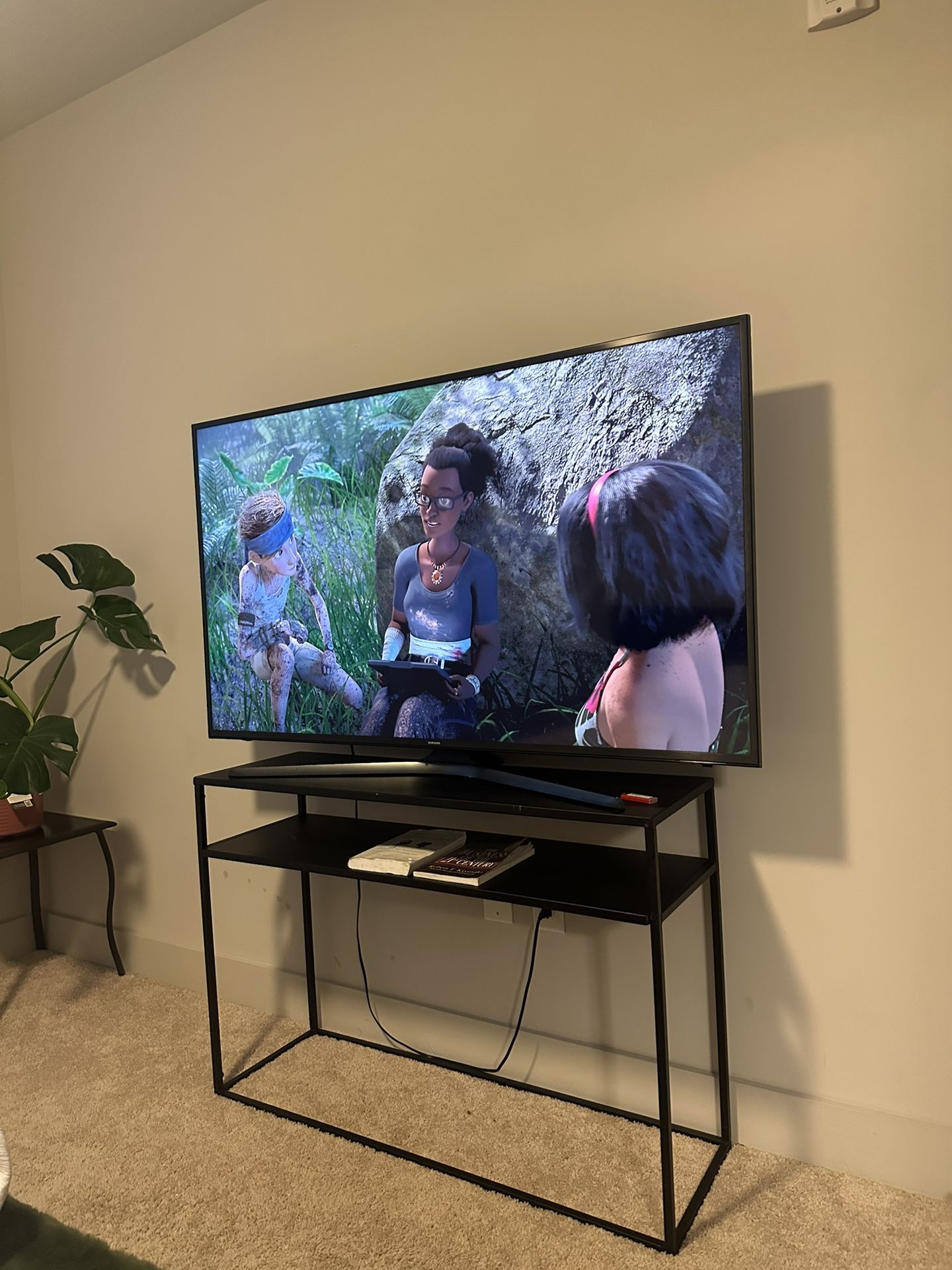 65” Samsung For 300