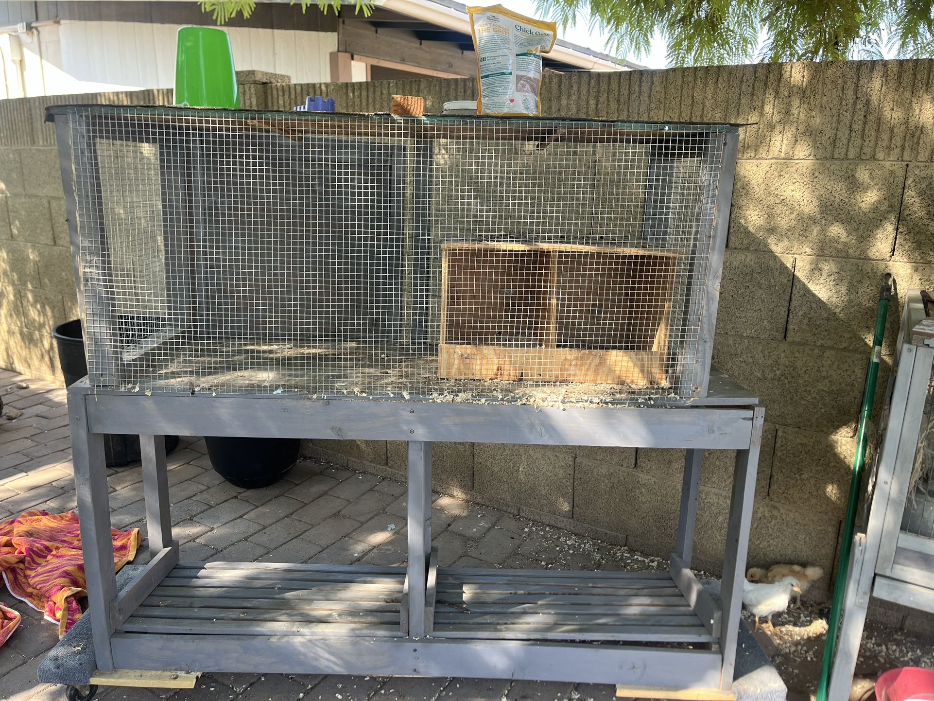 Chick Brooder Or Quail
