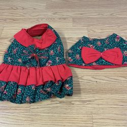 Small Size Holiday Dress And Shirt Set