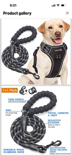 Harness