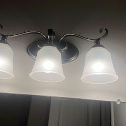 3 Lámparas planteadas 