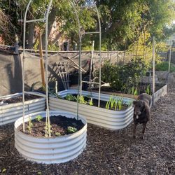 Raised Garden Bed 