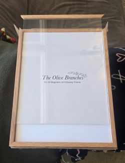 Magnetic art display frames