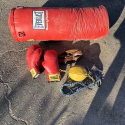 Boxing Bags and Gloves