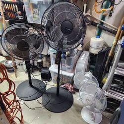 Fans