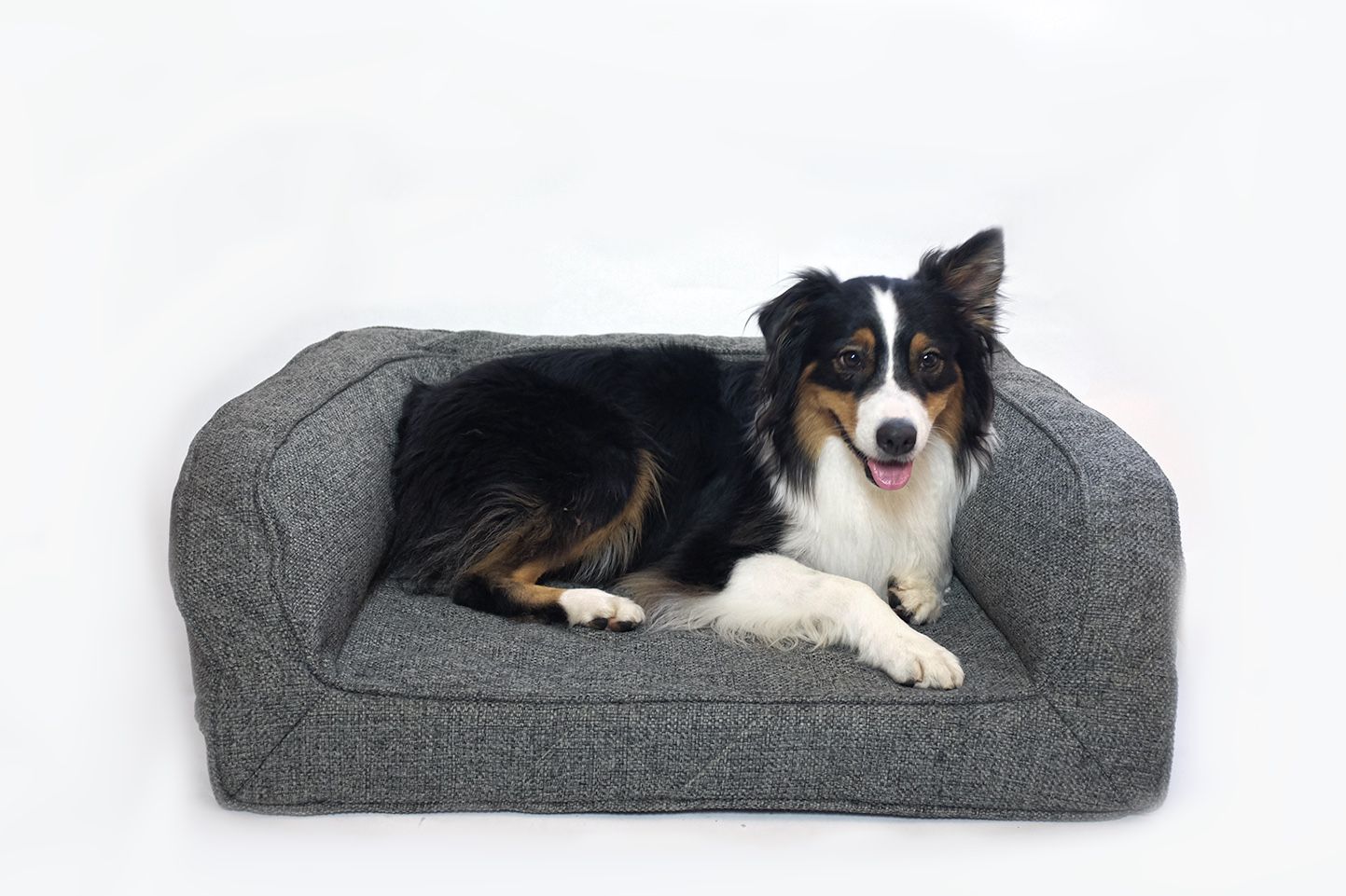 Brand New Size LL Dog/Cat Bed